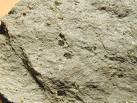 Andesite