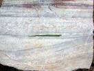 Quartzite