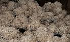 Tufa