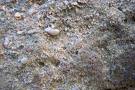 Gritstone