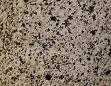 Granodiorite