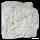 Limestone